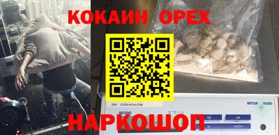 ГАЛЛЮЦИНОГЕННЫЕ ГРИБЫ Обь