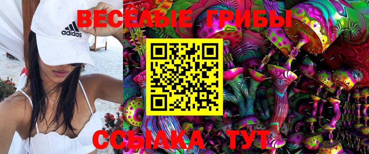 Реж  купить наркоту  Вход с VPN  Галлюциногенные грибы Psilocybine cubensis 